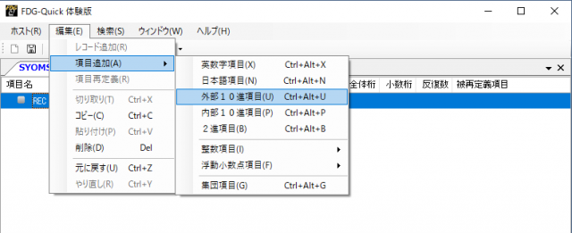 外部10進項目の追加